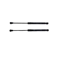 REPAIR KIT, REAR DOOR STRUTS(3